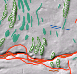 marinelandformerflater_esri_v1.lyrx